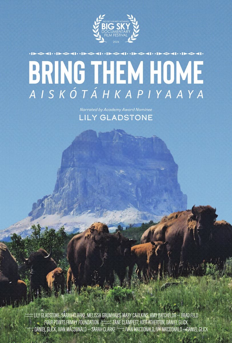 Bring Them Home / Aiskótáhkapiyaaya